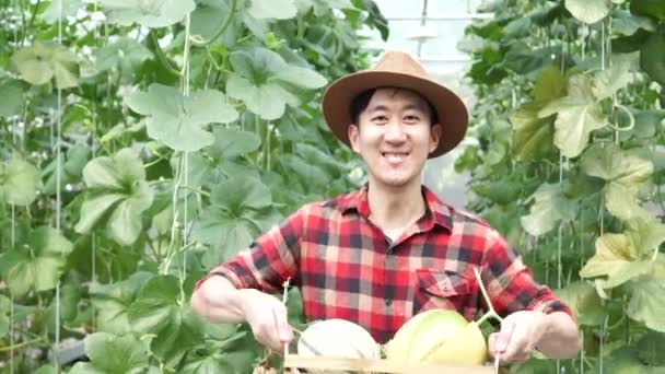 Junger asiatischer Landwirt hält einen Korb mit Cantaloupe-Melonen in einer Gewächshausfarm — Stockvideo