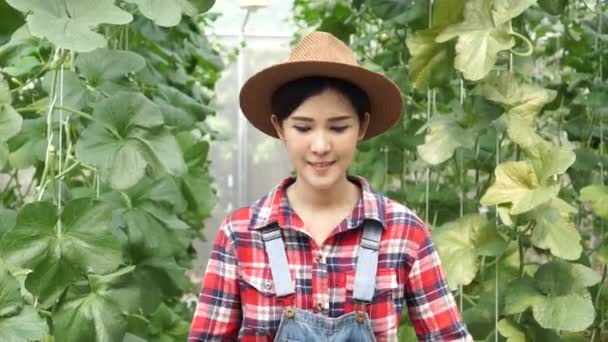 Junge asiatische Bäuerin hält einen Korb mit Cantaloupe-Melone im Gewächshaus — Stockvideo
