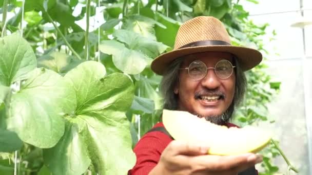 Granjero adulto mayor de mediana edad repartiendo un pedazo de su producto agrícola dentro del jardín de la granja en verano — Vídeo de stock