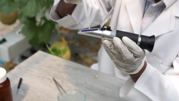 Сельскохозяйственный ученый с использованием рефрактометра брикса сладкий тест инструмент на поле фермы — стоковое видео