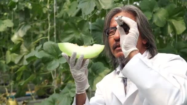 Cientista de pesquisa agrícola asiático sênior usando a ferramenta de teste doce refratômetro brix no campo da fazenda — Vídeo de Stock