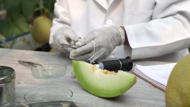 Científico investigador agrícola que utiliza la herramienta de prueba dulce refractómetro brix en campo de cultivo de melón — Vídeo de stock