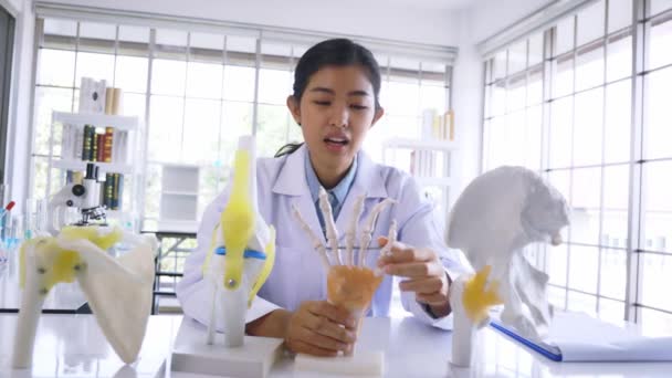 Genç Asyalı kadın doktor kamera pov semptomlarını tanımlamak için bir kemik modeli hazırlıyor. — Stok video