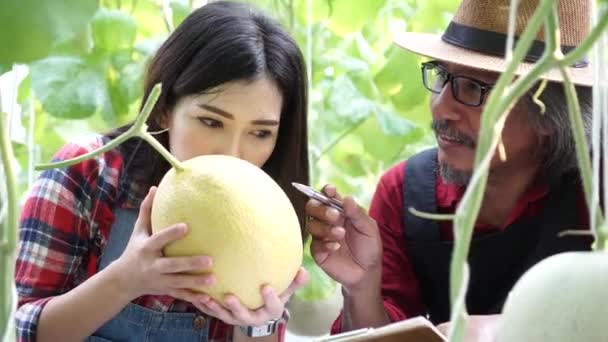 Glada asiatiska bönder ler och håller en mogen melon på sin egen gård fält — Stockvideo