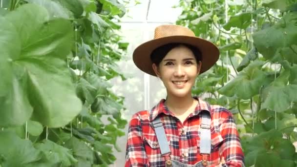 Junge schöne asiatische Bäuerin mit gekreuzten Armen im Bauerngarten — Stockvideo