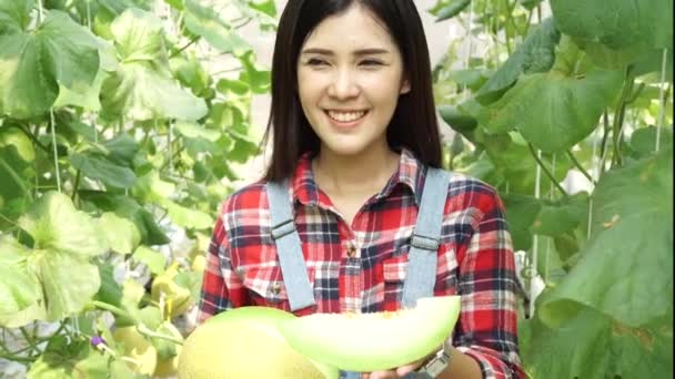 Jonge Aziatische vrouwelijke boer met een schijfje meloen en ruik de smaak in watermeloen boerderij veld — Stockvideo
