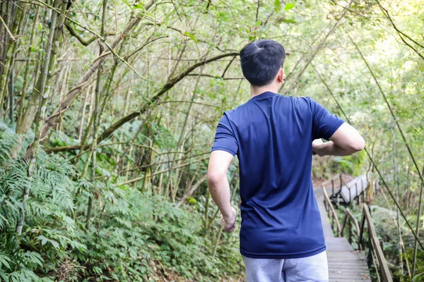 Junger Mann wärmt sich auf und läuft im Waldweg — Stockfoto