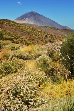 Teide yolu