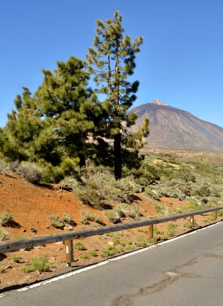 Carretera de teida 1 — Foto de Stock