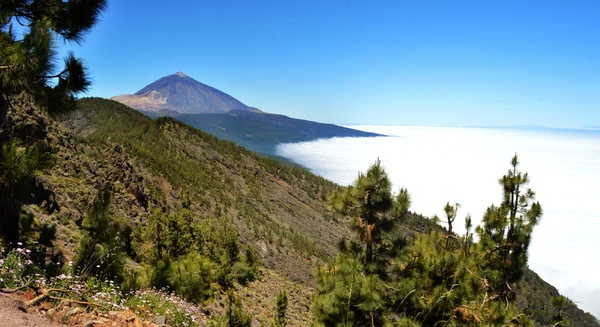 Teide poziome — Zdjęcie stockowe