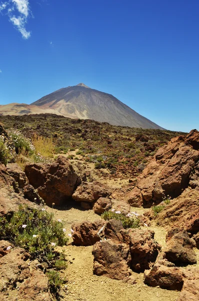 Rocas de teida 2 — Foto de Stock