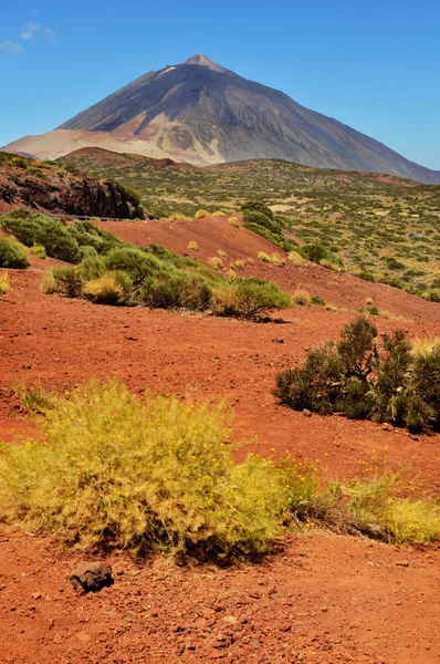 Teide vert arena roja — Foto de Stock