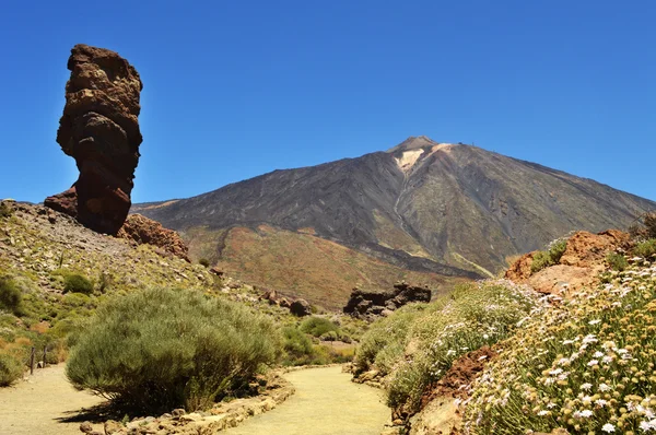 Teide el roque 1 — Foto de Stock