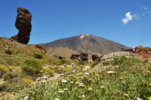 Roque de el Teide 2 — Foto de Stock