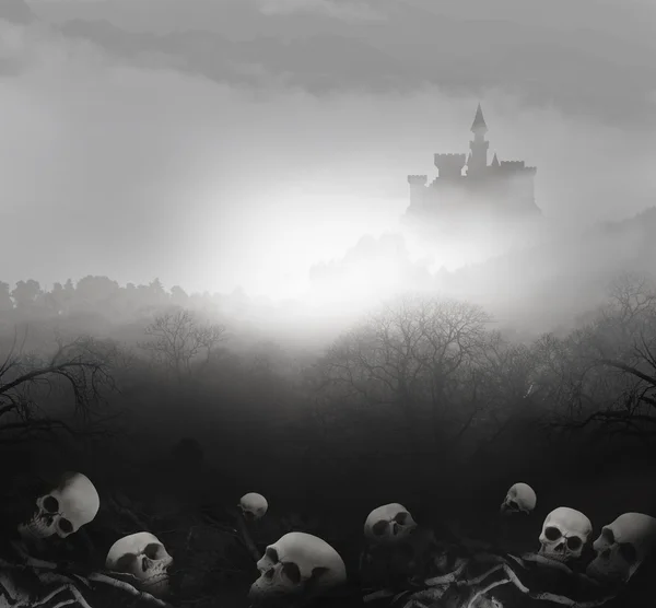 Castle skulls — Stock Photo, Image