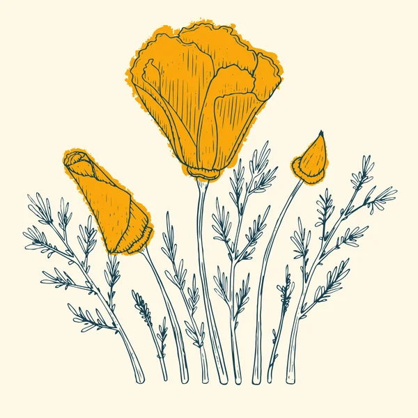 Orange poppy ontwerp — Stockvector