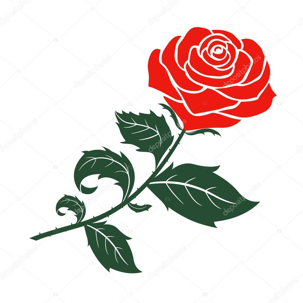 Red rose vector design