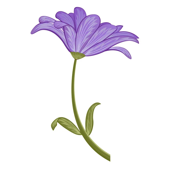 Fioletowy kwiat na białym tle — Wektor stockowy