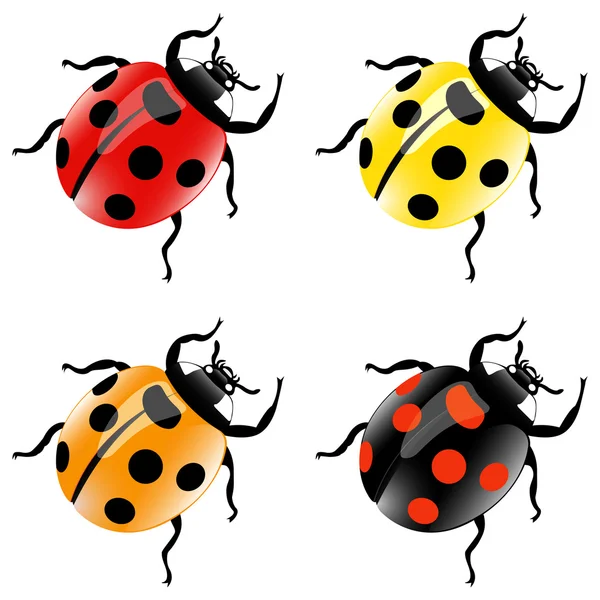 Coccinelle Vettoriali Stock Royalty Free