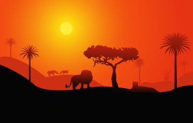 Afrika savana peyzaj