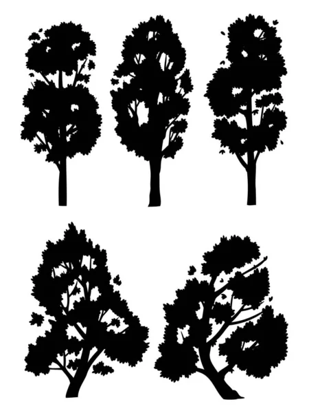 Векторный Набор Дерева Бокового Вида Изолированного Белом Фоне — стоковый вектор