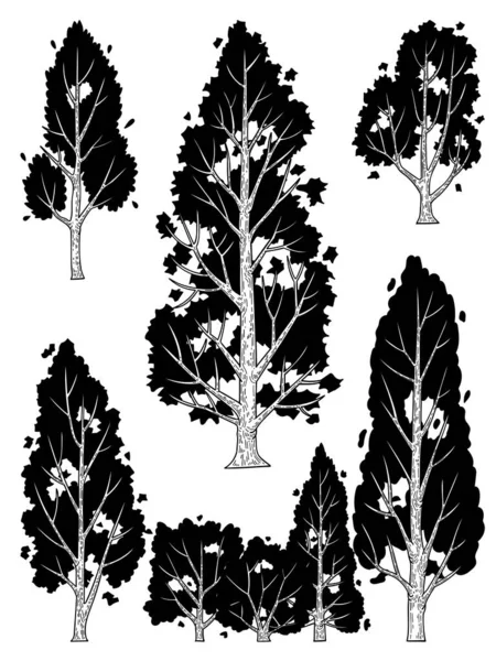 Handgezeichnete Seitenansicht Baum Vektorset — Stockvektor