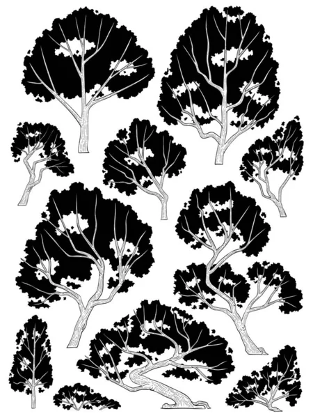 Векторный Набор Векторного Набора Дерева Рисованной Стороны — стоковый вектор