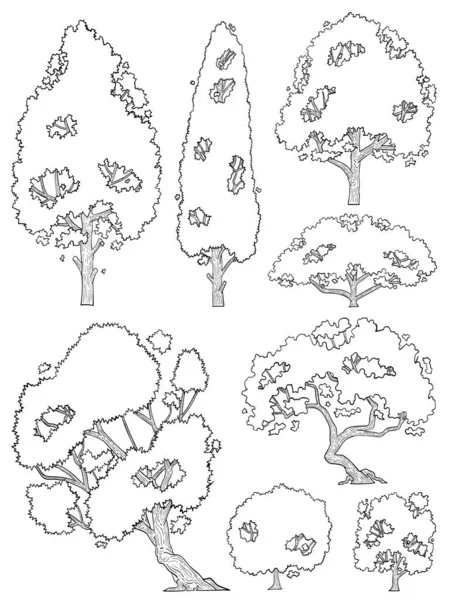 Jeu Vecteurs Arbres Dessinés Main — Image vectorielle