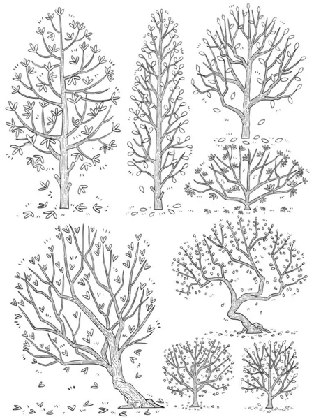 Mão Desenhado Lado Vista Árvore Vetor Conjunto —  Vetores de Stock