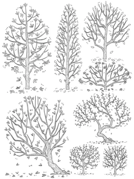 Векторный Набор Векторного Набора Дерева Рисованной Стороны — стоковый вектор