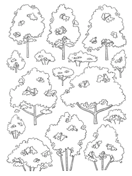 Jeu Vecteurs Arbres Dessinés Main — Image vectorielle