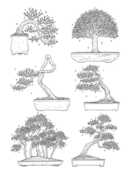 Ручний Намальований Вид Збоку Bonsai Дерево Векторний Набір — стоковий вектор