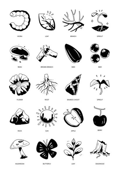Handgezeichnetes Icon Set Von Natürlichen — Stockvektor