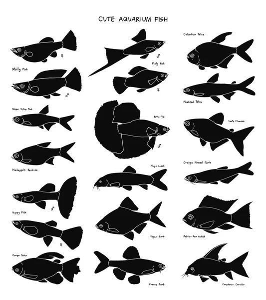 かわいい水族館魚の手描きベクトルセット — ストックベクタ