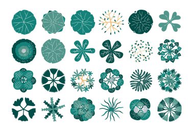 el çizimi üst görünüm ağacı.