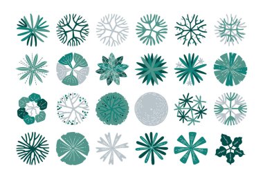 el çizimi üst görünüm ağacı.