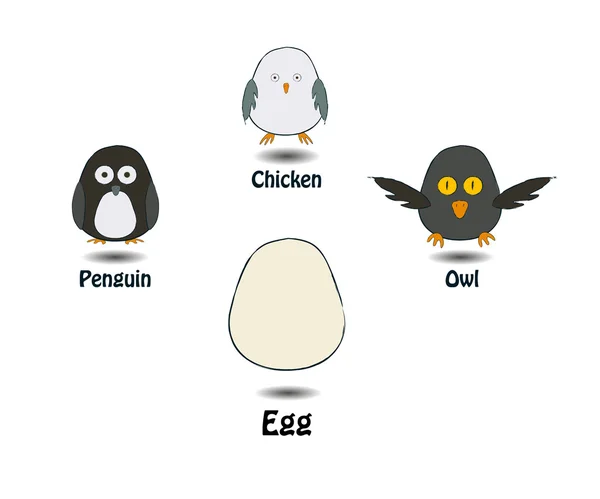 鸟类和鸡蛋。鸡、 企鹅、 猫头鹰. — 图库矢量图片