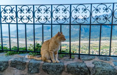 Aziz Stephen Manastırı 'nın duvarında çitte oturan bir kedi - Yunanistan' ın Meteora şehrinde arka planda dağlarla birlikte