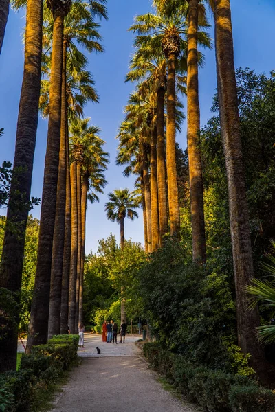 Athens Greece November 2020 People National Gardens Athens Palm Trees — 스톡 사진
