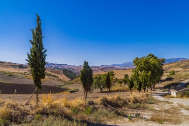 Ağaçlar, tarlalar ve ilkel yollarla Orta Sicilya manzaraları