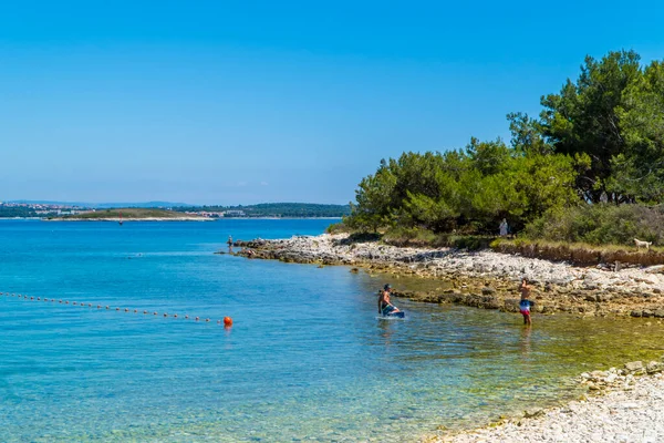 Kamenjak Istria Croatia July 2020 Swimming Ators White Stone Beach — 图库照片