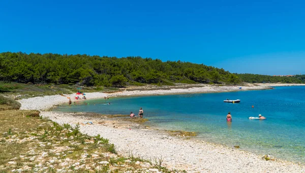 Kamenjak Istria Croatia July 2020 Rock Stone Beach Swimming Mers — 图库照片