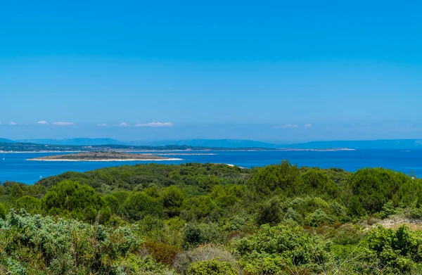 Vue Panoramique Parc National Kamenjak Istrie Croatie Avec Arbres Littoral — Photo