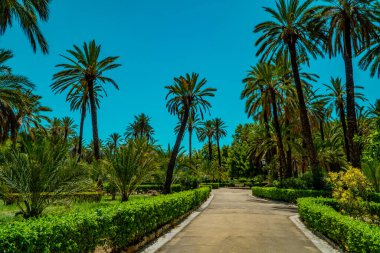 Palermo, Sicilya, İtalya 'da palmiye ağaçları ve egzotik bitkilerle dolu bir şehir parkı.