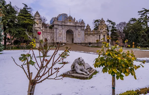 Stanbul Türkiye Şubat 2021 Yüzyıl Osmanlı Dolmabahce Sarayı Nın Parkında — Stok fotoğraf