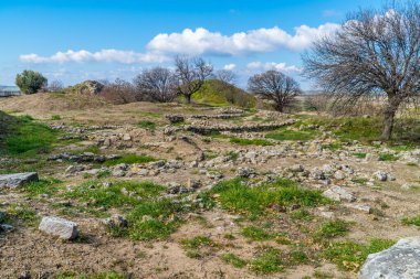 Türkiye 'nin Çanakkale kenti yakınlarındaki Truva antik kentinin arkeoloji parkındaki ağaç ve harabelerin panoramik manzarası