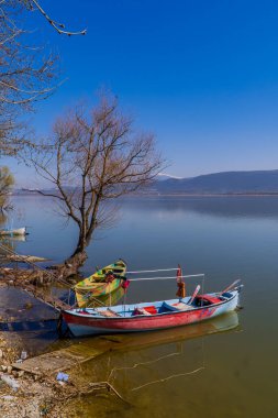 Golyazi, Türkiye - 5 Mart 2021 - Bursa, Bursa 'daki Ulubat Gölü üzerinde geleneksel balıkçı tekneleri ve bir ağaç manzarası