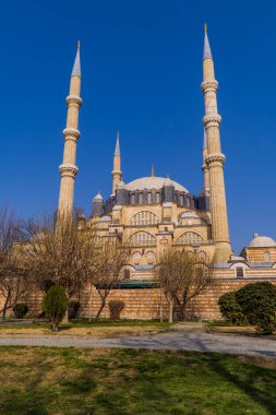 Türkiye 'nin Edirne kentindeki güzel Osmanlı Selimiye Camii dikey görünümü