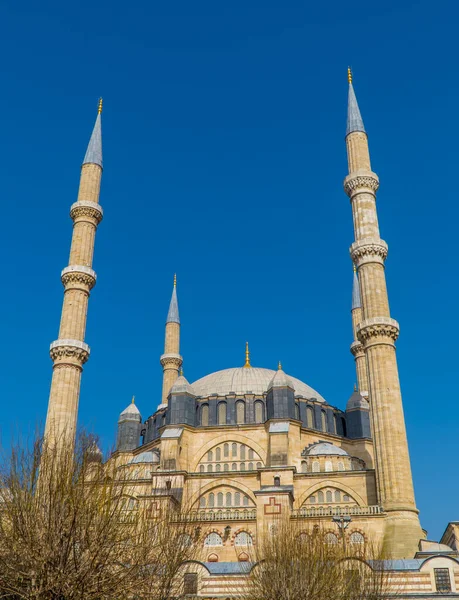 Türkiye 'nin Edirne kentindeki güzel Osmanlı Selimiye Camii' nin dikey manzarası