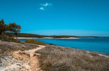 Kamenjak Ulusal Parkı, Istria, Hırvatistan 'da bitki ve adalarla dolu vahşi manzaralar